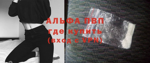 Альфа ПВП Белокуриха