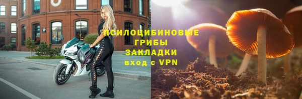 Альфа ПВП Белокуриха