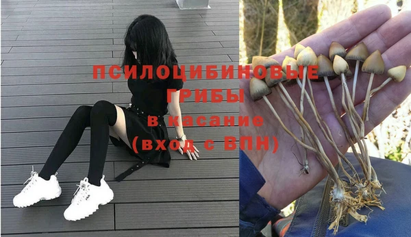 Альфа ПВП Белокуриха
