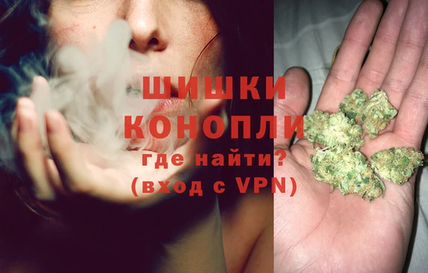 Альфа ПВП Белокуриха