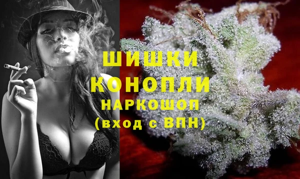 Альфа ПВП Белокуриха